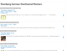 Tablet Screenshot of blog.shomberggsp.com
